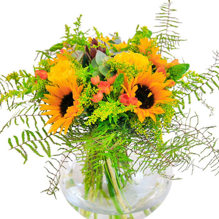 The first impression of this bouquet is pure, unfiltered sunlight, bottled into a rounded glass vase that echoes the friendly curves of South Wimbledon's winding paths. Radiant sunflowers beam from the centre, their dark centres circled by a halo of golden petals that recall the warmth of lazy afternoons in local parks. Beside them, yellow garden roses create elegant, spiralled swirls, softening the boldness of the sunflowers with their plush texture and subtle, fresh scent. Interwoven are clusters of glossy red Hypericum berries, nestled among fronds of feathery fern and airy filler, their presence as lively and uplifting as the community spirit on a weekend along Merton High Street. Eucalyptus leaves peek through with muted blue-green hues, bringing a gentle coolness that balances the scene. Every stem is showcased in the clean, transparent bowl vase, with crystal water highlighting each fresh-cut line-a hallmark of quality from South Wimbledon Florist. Perfect for lighting up a birthday celebration, delivering a message of joy to a home near Colliers Wood, or acting as a cheerful centrepiece, this bouquet is an ode to effortless beauty and authentic local style.